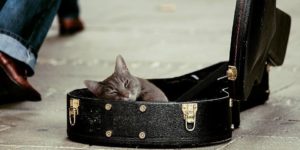 Заработать деньги