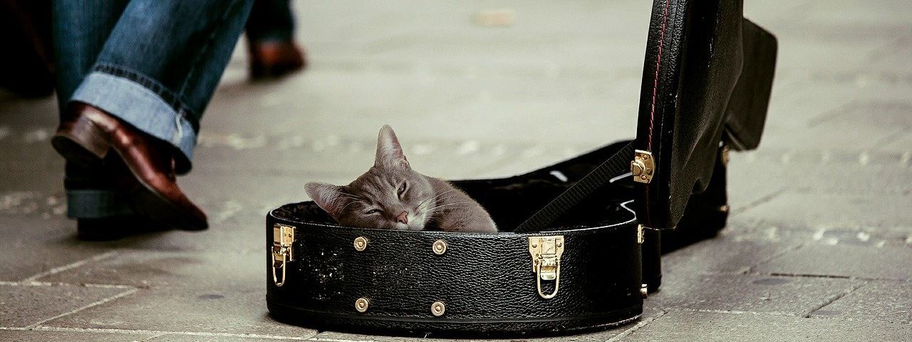 Как заработать на инвестиционных платформах?